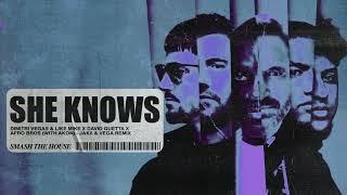 She Knows [with Akon] [Jaxx & Vega Remix] (Visualizer)