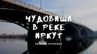 Чудовища в реке Иркут