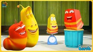 Larva Lemon || TRAP OF YELLOW AND RED  60min | Cartoon video for kids by SMToon Asia