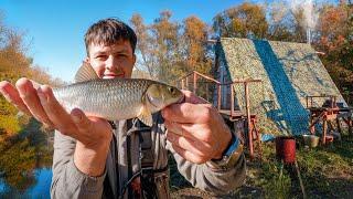 ЧТО СКРЫВАЛА ЯМА ПОД РЕЧНЫМ ЗАВАЛОМ ? | Осень в бане у реки