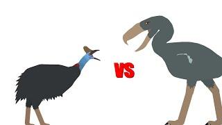 cassowary vs kelenken