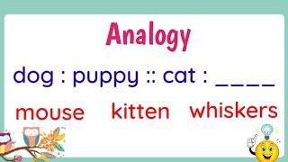 Analogy (with Activity)