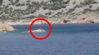 Real Mermaid caught on camera in Mallorca, Spain on 10/20/2013