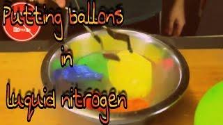 what happens if you freeze balloons! Amazing experiment!