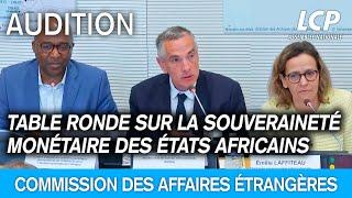 Table ronde sur la souveraineté monétaire des États africains et le devenir du franc CFA