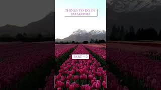 7 Best Things to do in PATAGONIA (PART 2)