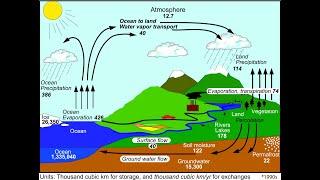 HEC-HMS T1| How to Process Satellite Climate Data in HEC HMS | How to Create HEC-DSS File