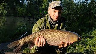 КАРПФИШИНГ. ВЫЕЗД НА ДИКАРЬ. ПОКЛЕВКА АМУРА. MY CARPFISHING.