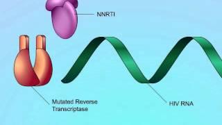 HIV: Mechanisms of NNRTI Resistance