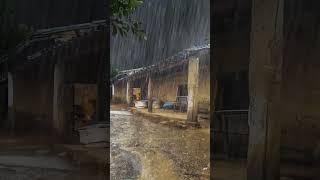 Rain Sounds for Sleeping Heavy Rain and Thunderstorm Sounds for Sleeping