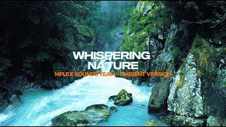 Mflex Sounds Team - Whispering Nature  4K 2024 (Recommended for OLED)