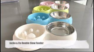 Jacko & Co - Double Feeder Video #shorts