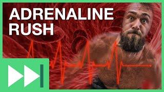 What Causes an Adrenaline Rush? | Fast Forward Teachable Moment