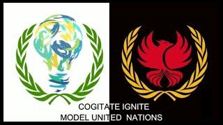 UNGA-DISEC training session CIMUN| UNA USA ROP| HOW TO WIN MUN|