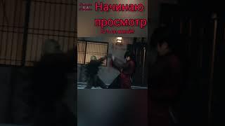 Лорд Сюэ Ин | бесподобный Сюй Кай в новой дораме