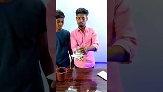 एक कागज़ पर पानी कैसे रुका?  #ytshort  #viral #shorts