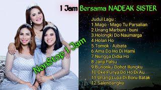 KOMPILASI POP BATAK - NADEAK SISTER