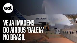 Avião Beluga: veja imagens do airbus 'baleia' no Brasil
