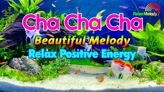 New Cha Cha Cha Relaxing Instrumental Music - Beautiful Cha Cha Melody,Aquarium With Positive Energy