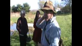 Garlic Mustard Foraging Wild Edible Herb