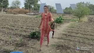 #priyanka#dinu#vlogs#village#life#Aaj#humne#khet#per₹क्या-क्या#kya#chalo#dekhta#hai#video#ko#pura#de