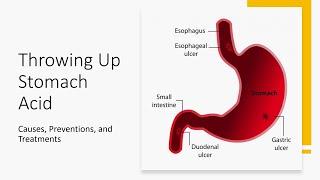 Throwing Up Stomach Acid - Causes, Preventions, and Treatments