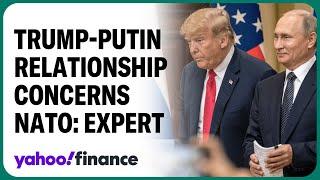 Trump-Putin relationship cause for NATO concerns: Expert