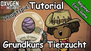 Tutorial #14 - Grundkurs Tierzucht - Beginner / Early Game - Oxygen Not Included