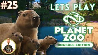 BUILDING A SOUTH AMERICAN RAINFOREST ENCLOSURE! Planet Zoo Console Sandbox Zoo