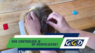 Hoe controleer je op hoofdluizen?