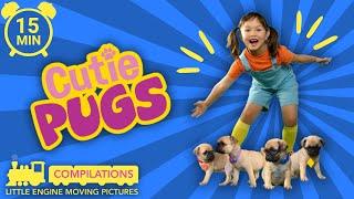 Cutie Pugs Compilation 15 min | Animals for Kids