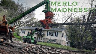 Merlo MADNESS!!! The FASTEST tree removal I have ever seen in my life. Last job with Reon Rounds.