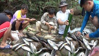 Hunting and Cooking In Southeast Asia/Yos hav zoov hav dej noj ntses daj tav pam mooj