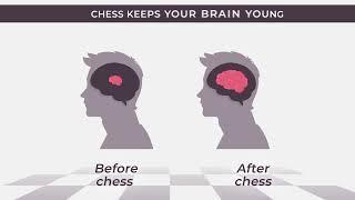 Does Chess Improve Cognitive Skills? YES!