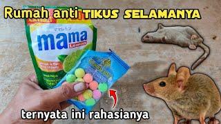 Ternyata cukup pake ini, TIKUS pergi selamanya !!