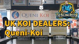 UK Koi Dealers: Queni Koi - Behind the scenes access!