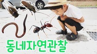 장수풍뎅이 잡을 수 있을까? 우리동네 자연관찰 insect Observation #지호랑놀자