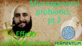 Microrganismi probiotici, pt.2- Gli effetti sulla salute