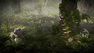 [HD] Forest in Cycles Breakdown