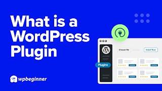 What is a WordPress Plugin?