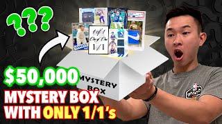 OPENING A $50,000 MYSTERY BOX WITH ONLY 1/1's!!! 