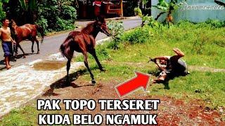 KUDA BELO NGAMUK PAK TOPO TERPELESET JATUH!! HORSEBACK!! HORSES!! LAGU ANAK TERPOPULER