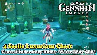 4 Seelie Luxurious Chest in Central Laboratory Ruins Genshin Impact