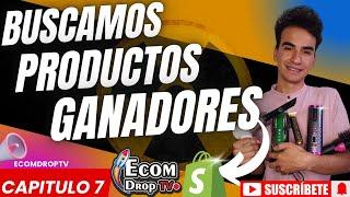 CAP 7  Como buscar productos ganadores para dropshipping 