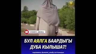 Бул   *АЯЛГА*  БААРДЫГЫ  ДУБА  КЫЛЫШАТ...ЧУБАК АЖЫ УСТАЗ