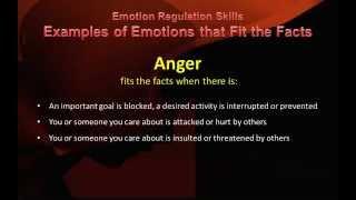 DBT Peer Connections Check the Facts of Emotional Responses