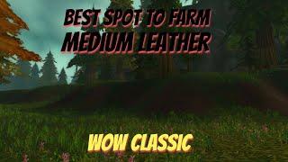WoW Classic/Skinning guide/Best spot to farm Medium Leather