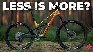 Canyon Spectral:ONfly E-MTB Review | Is Less Really More?