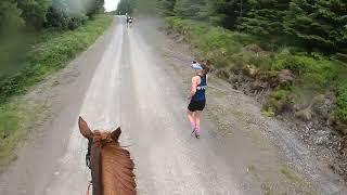 Man v Horse 2022, the horse view start to finish