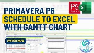 From Primavera P6 Schedule to Excel: Creating Gantt Charts with XER to XLSX Tool in Excel